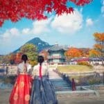 South Korea: Ginseng Country with 5 Worldwide Charm