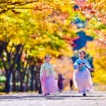Korea Selatan di Tengah Perebutan Pengaruh Amerika Serikat dan Cina