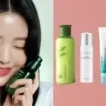 Perubahan Sosial dan Fenomena Hallyu: Transformasi Korea Selatan di Era Modern